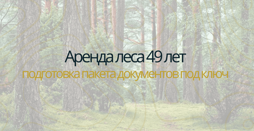 Аренда леса на 49 лет в Ижевске
