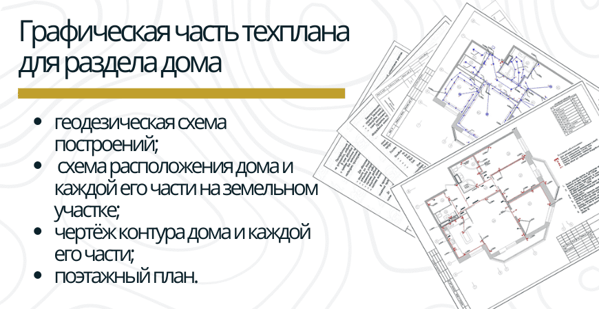 Графическая часть техплана для раздела дома в Ижевске